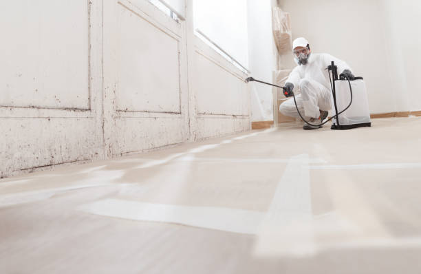 24/7 Emergency Basement Mold Remediation experts in Modena, PA